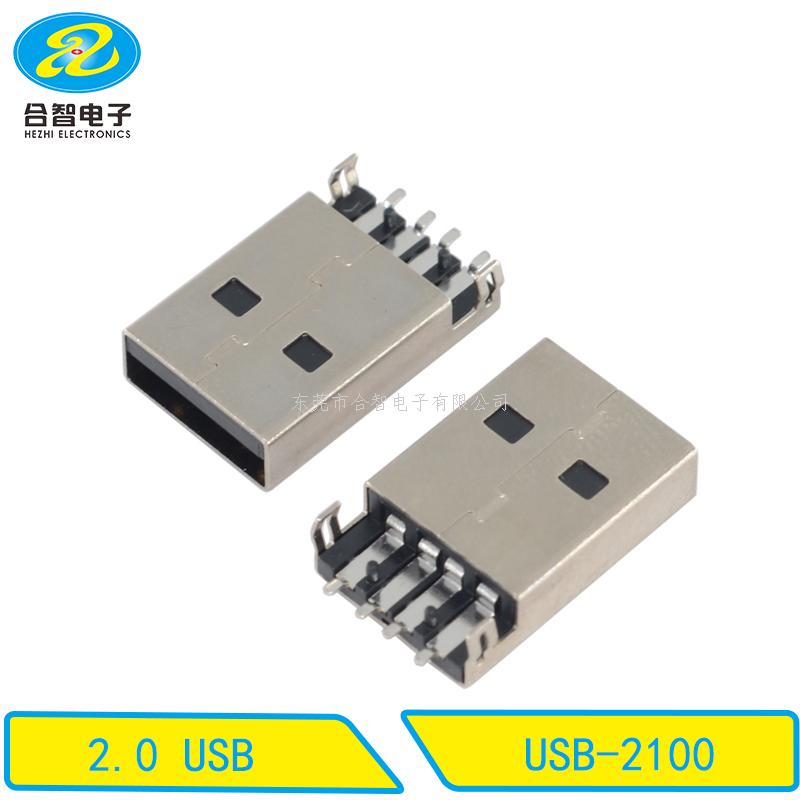 USB 2.0-USB-2100