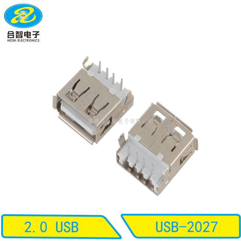 USB 2.0-USB-2027