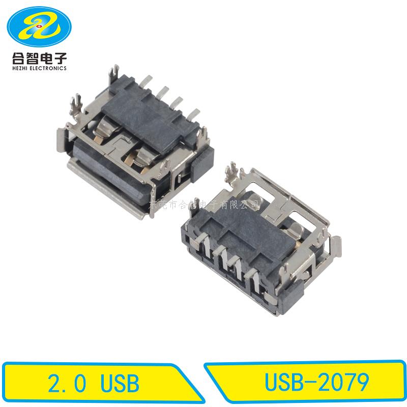 USB 2.0-USB-2079