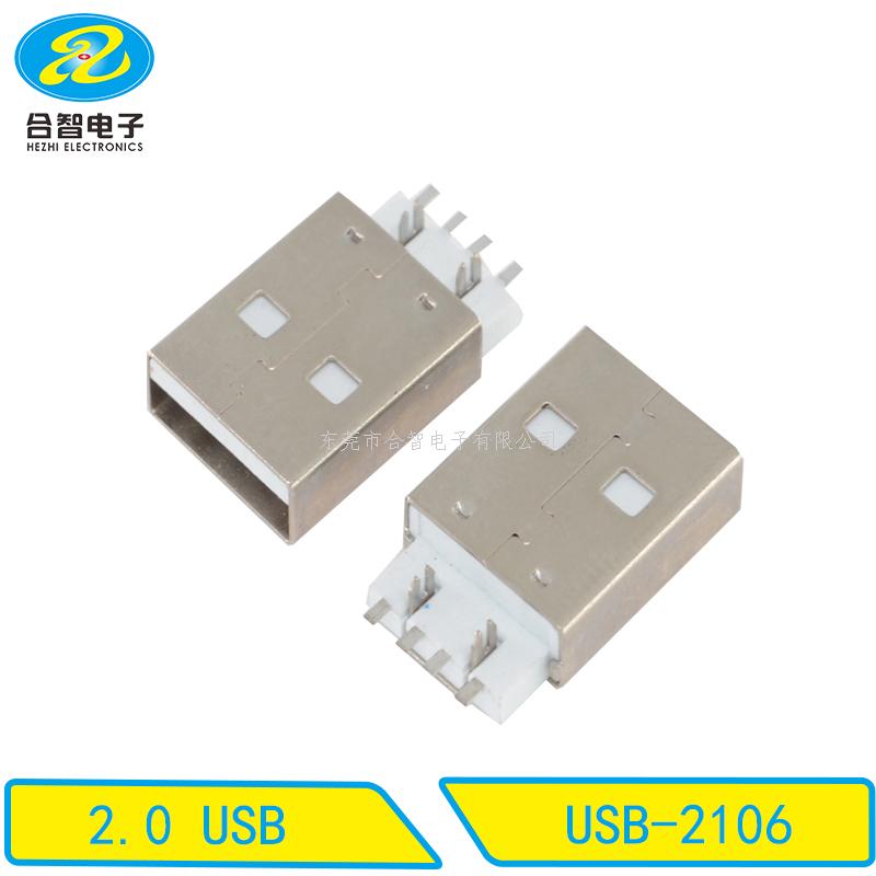 USB 2.0-USB-2106